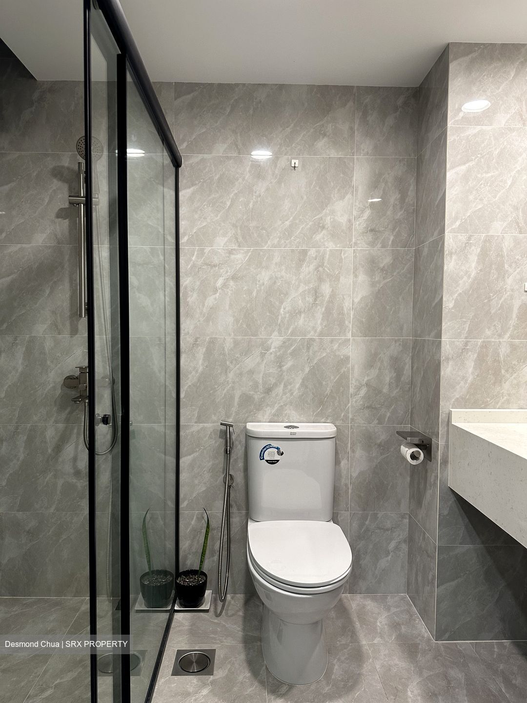 Mandarin Gardens (D15), Condominium #385812831